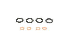 Seal Ring, injector ENT250258