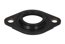 Seal Ring, injector ENT250389/1_0