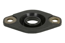Seal Ring, injector ENT250392/1_1