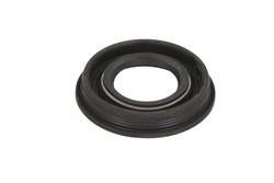 Seal Ring, injector ENT250393