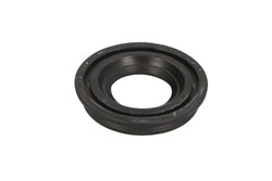 Seal Ring, injector ENT250393_1