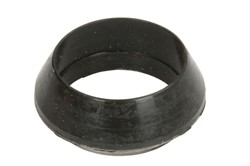 Seal Ring, injector ENT250417_0