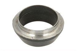 Seal Ring, injector ENT250417_1