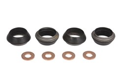 Injector installation kit ENT250506