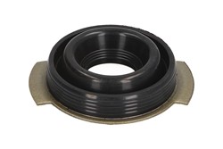 Seal Ring, injector ENT250523