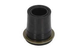 Seal Ring, injector ENT250525