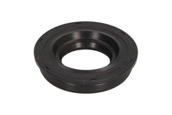 Seal Ring, injector ENT250527