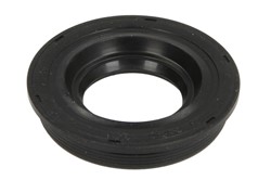 Seal Ring, injector ENT250528_0