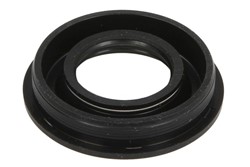 Seal Ring, injector ENT250528_1