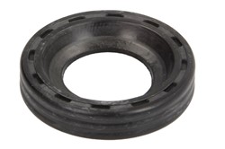 Seal Ring, injector ENT250530