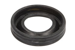 Seal Ring, injector ENT250530_1