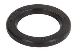 Seal Ring, injector ENT250531