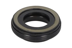 Seal Ring, injector ENT250549