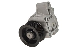 Vacuum Pump, braking system ENT400004_0