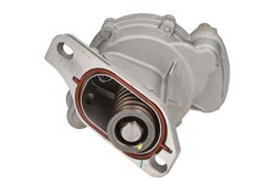 Vacuum Pump, braking system ENT400006