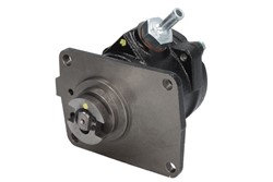 Vacuum Pump, braking system ENT400029