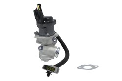 EGR valve ENT500032_1