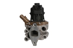 EGR valve ENT500157_1