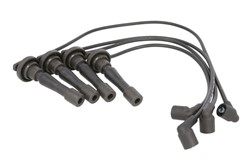 Ignition Cable Kit ENT910058
