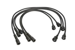 Ignition Cable Kit ENT910101
