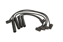 Ignition Cable Kit ENT910127
