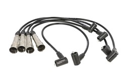 Ignition Cable Kit ENT910147