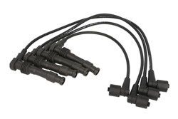 Ignition Cable Kit ENT910156