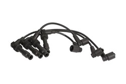 Ignition Cable Kit ENT910158