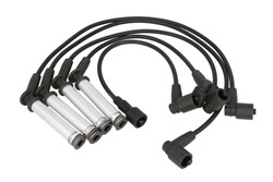 Ignition Cable Kit ENT910160
