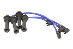 Ignition Cable Kit ENT910161