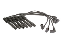 Ignition Cable Kit ENT910163
