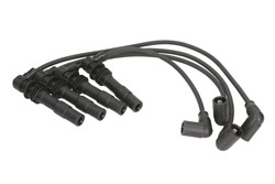 Ignition Cable Kit ENT910166