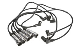 Ignition Cable Kit ENT910169