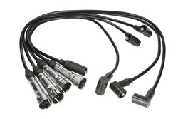 Ignition Cable Kit ENT910172