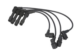 Ignition Cable Kit ENT910175