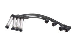 Ignition Cable Kit ENT910185