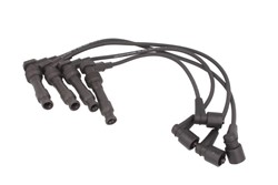 Ignition Cable Kit ENT910190
