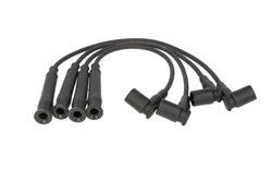 Ignition Cable Kit ENT910191