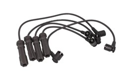 Ignition Cable Kit ENT910194