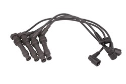 Ignition Cable Kit ENT910200