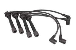 Ignition Cable Kit ENT910205