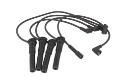Ignition Cable Kit ENT910207