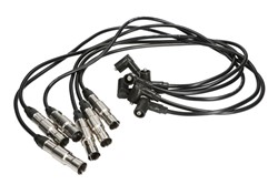 Ignition Cable Kit ENT910230