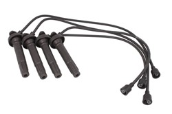 Ignition Cable Kit ENT910233_0