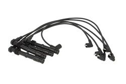 Ignition Cable Kit ENT910241