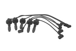 Ignition Cable Kit ENT910243