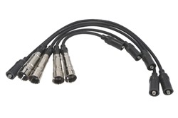 Ignition Cable Kit ENT910256