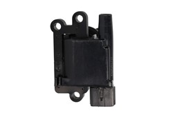 Ignition Coil ENT960017_1