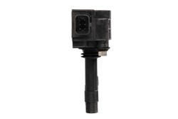Ignition Coil ENT960023_1