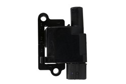 Ignition Coil ENT960044_1